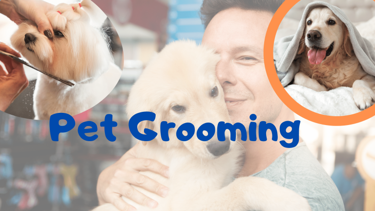 Top-rated dog grooming services near me